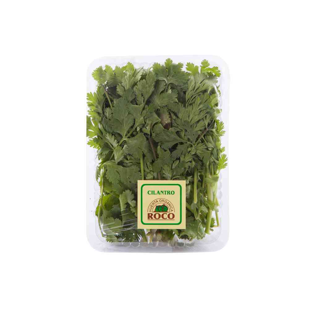 Cilantro 40 Grs