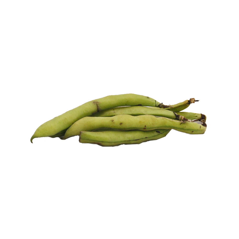Cebolla De Verdeo Organica