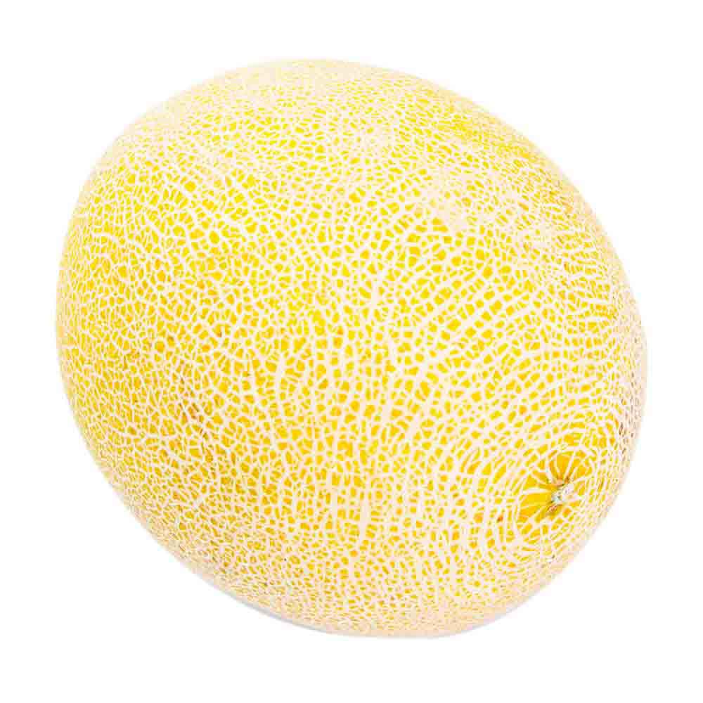 Melón Patagonia