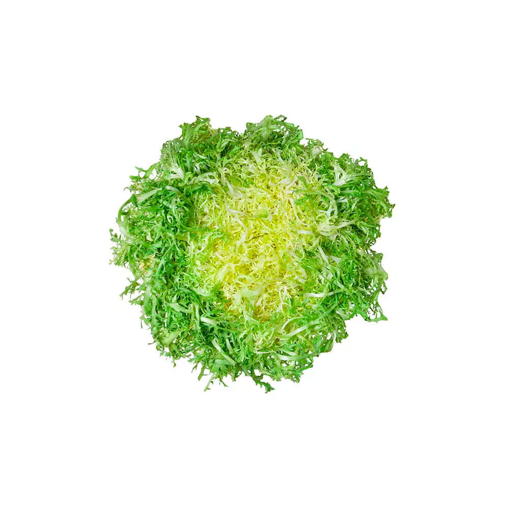 Escarola