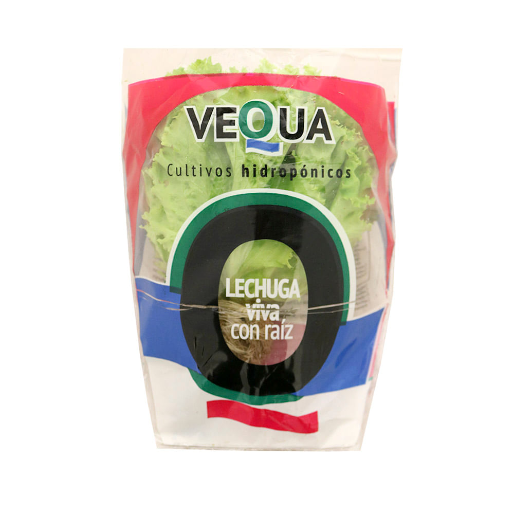 Lechuga Morada Hidrop Ximabe