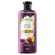 Shampoo-Herbal-Essences-B-o-renew-Passion-Flower-Rice-Milk-400-Ml-2-250692