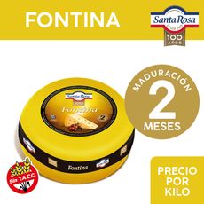 Queso-Fontina-Santa-Rosa-Hma-X-Kg-1-799525
