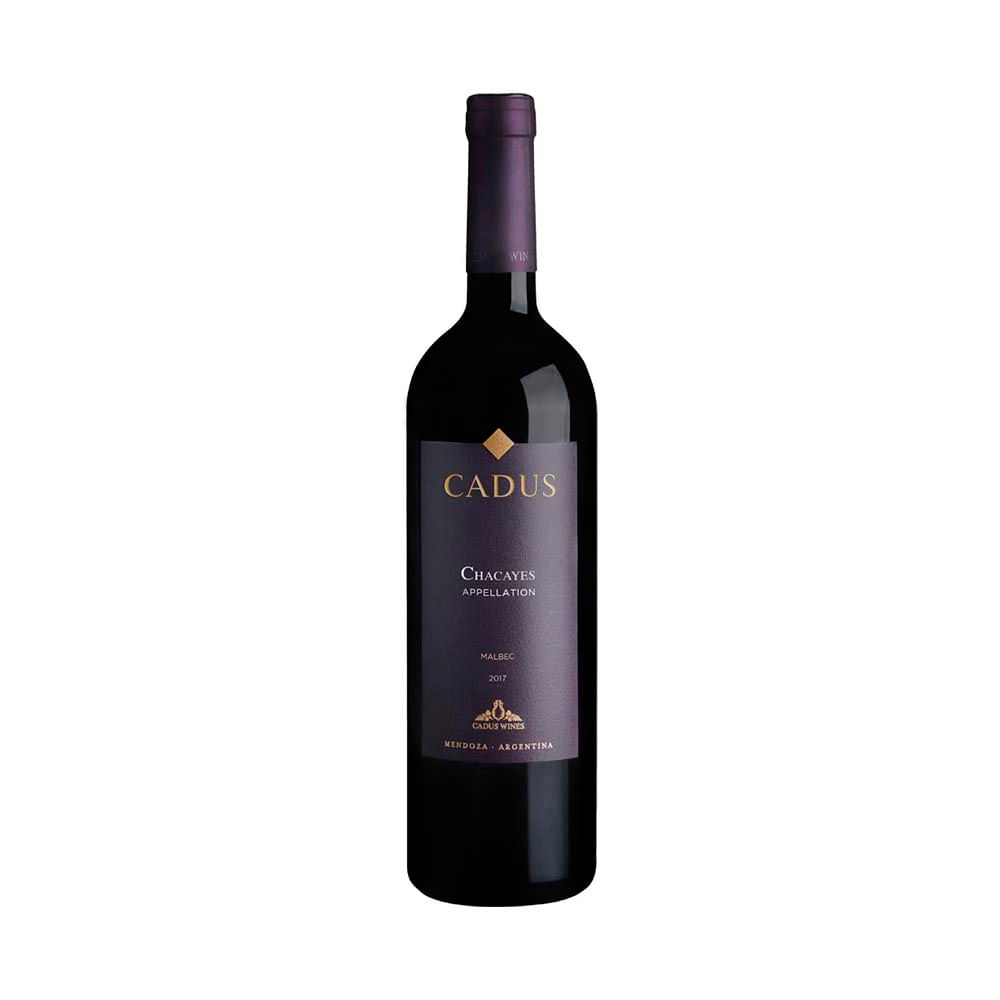 Vino Chacayes Appellation Malbec X750 Ml