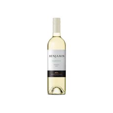 Vino-Benjamin-Nieto-Senetiner-Chardonnay-Botella-750cc-1-887643