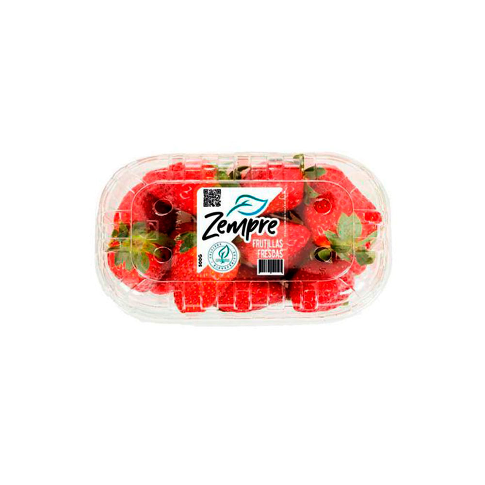 Frutillas Hidroponicas Zempre Kg