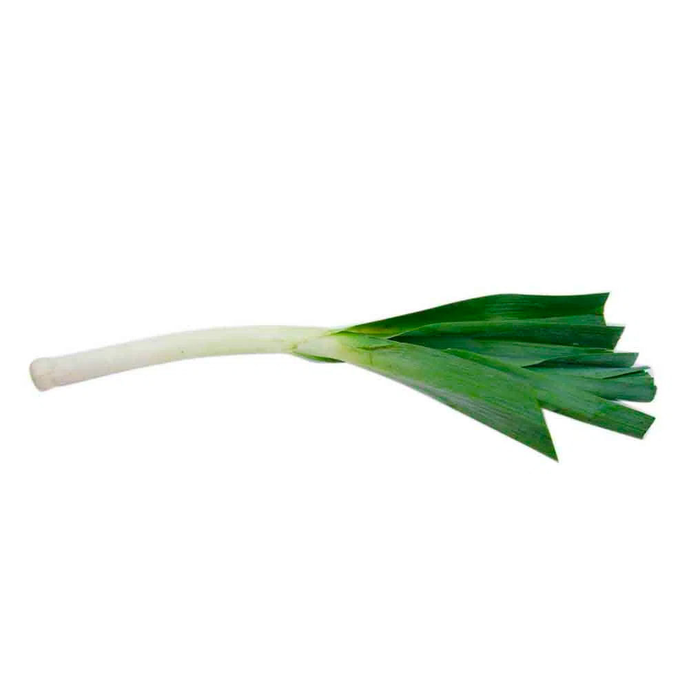Apio Nabo Organico