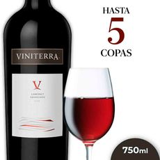 Vino-Tinto-Viniterra-Cabernet-Saugignon-750-Cc-1-33038