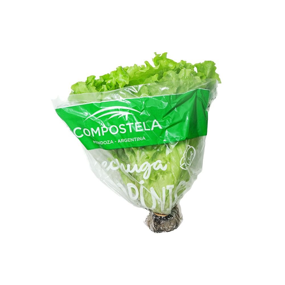 Lechuga Francesa Hidro