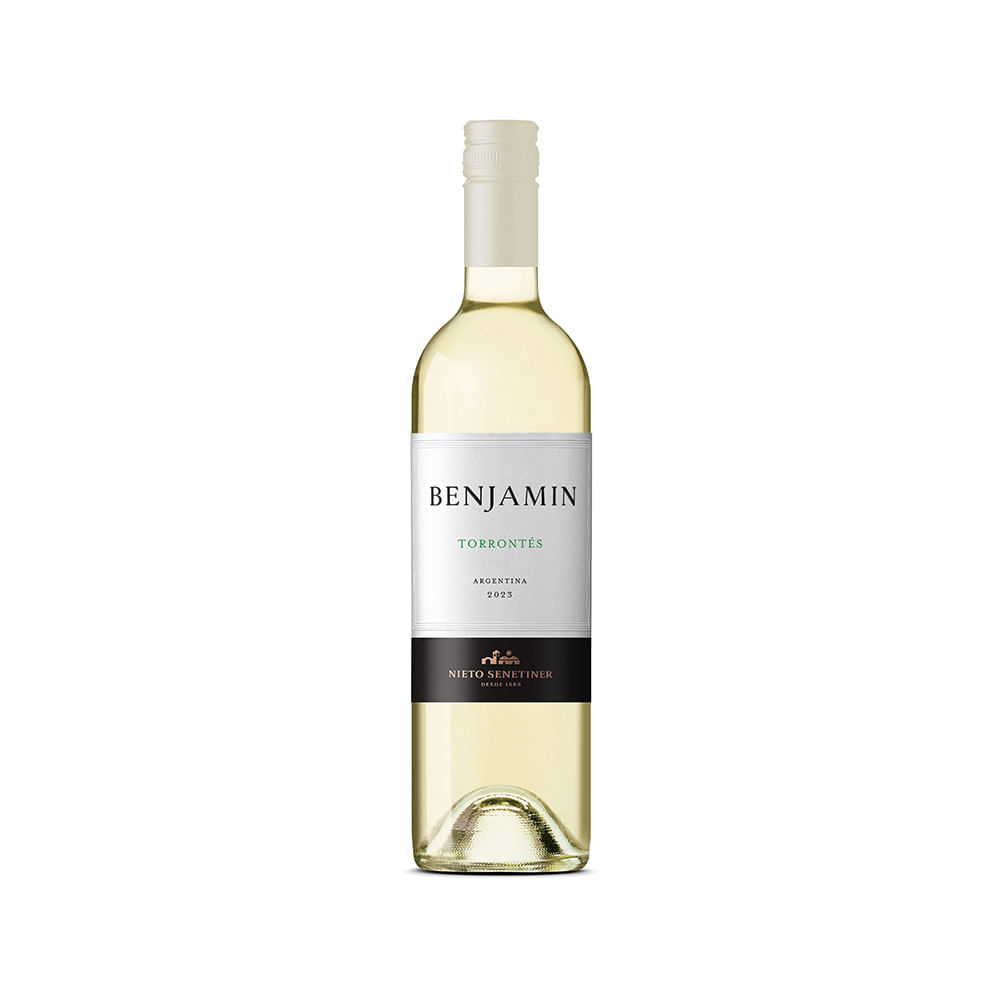 Vino Benjamin Torrontés 750ml