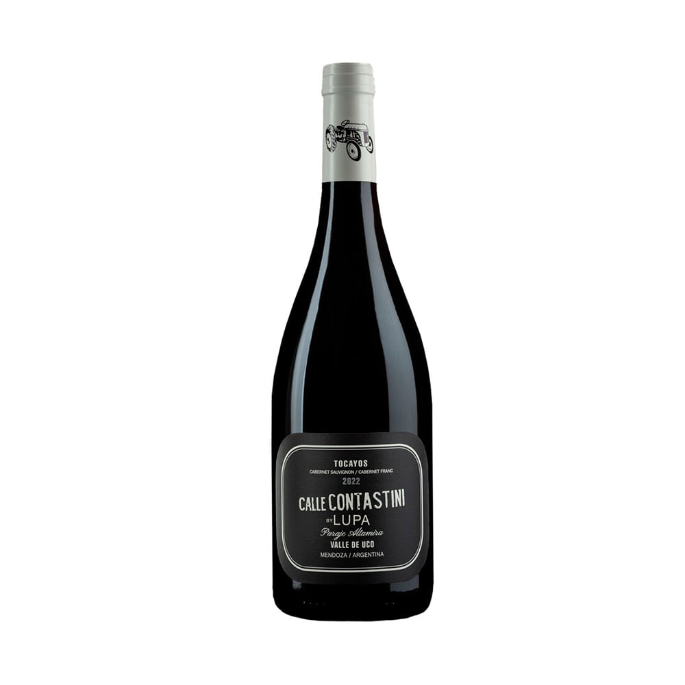 Vino Paraje Altamira Tocayos Cab Sauv-cab Fran