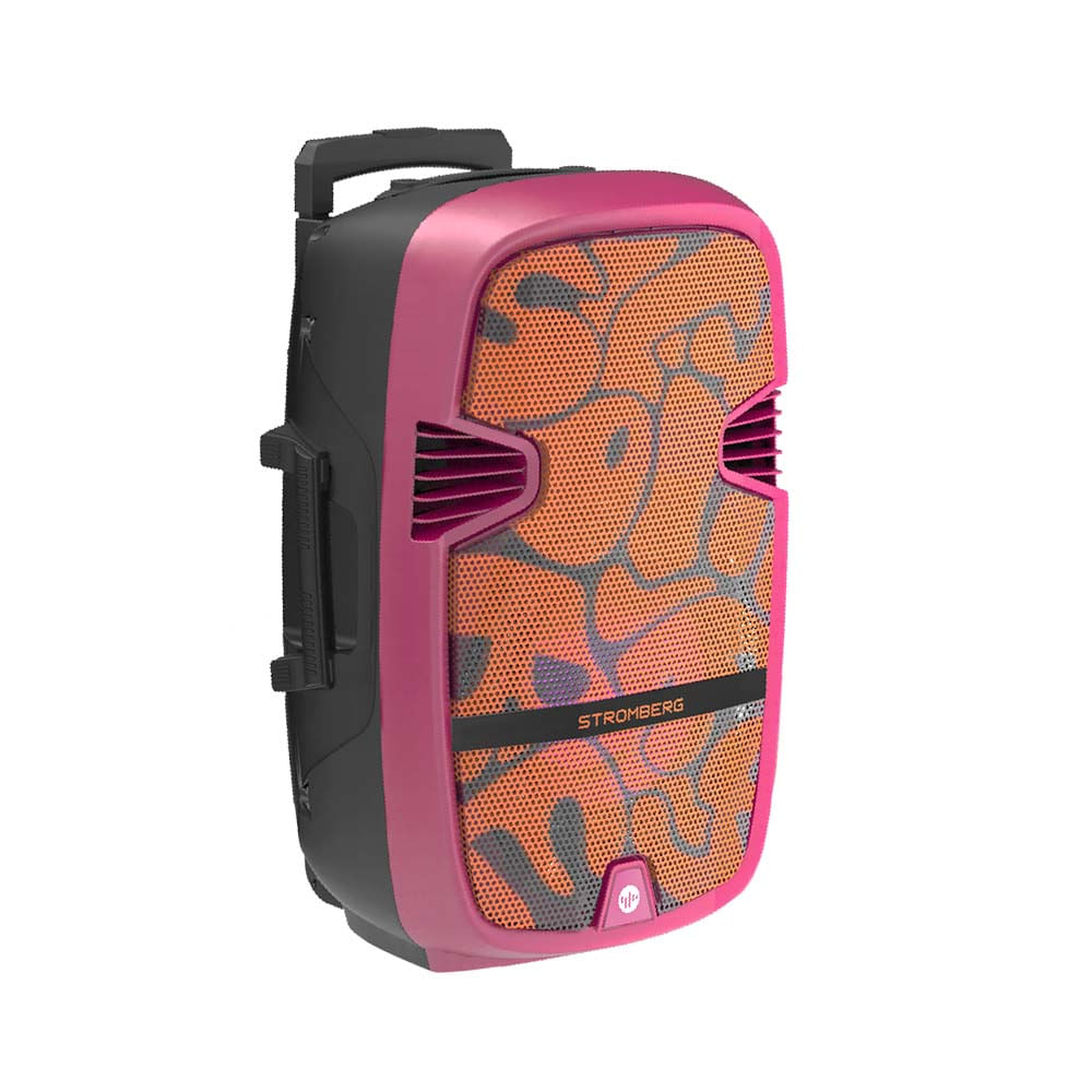 Parlante Bluetooth 100w Rms Vortex Stromberg