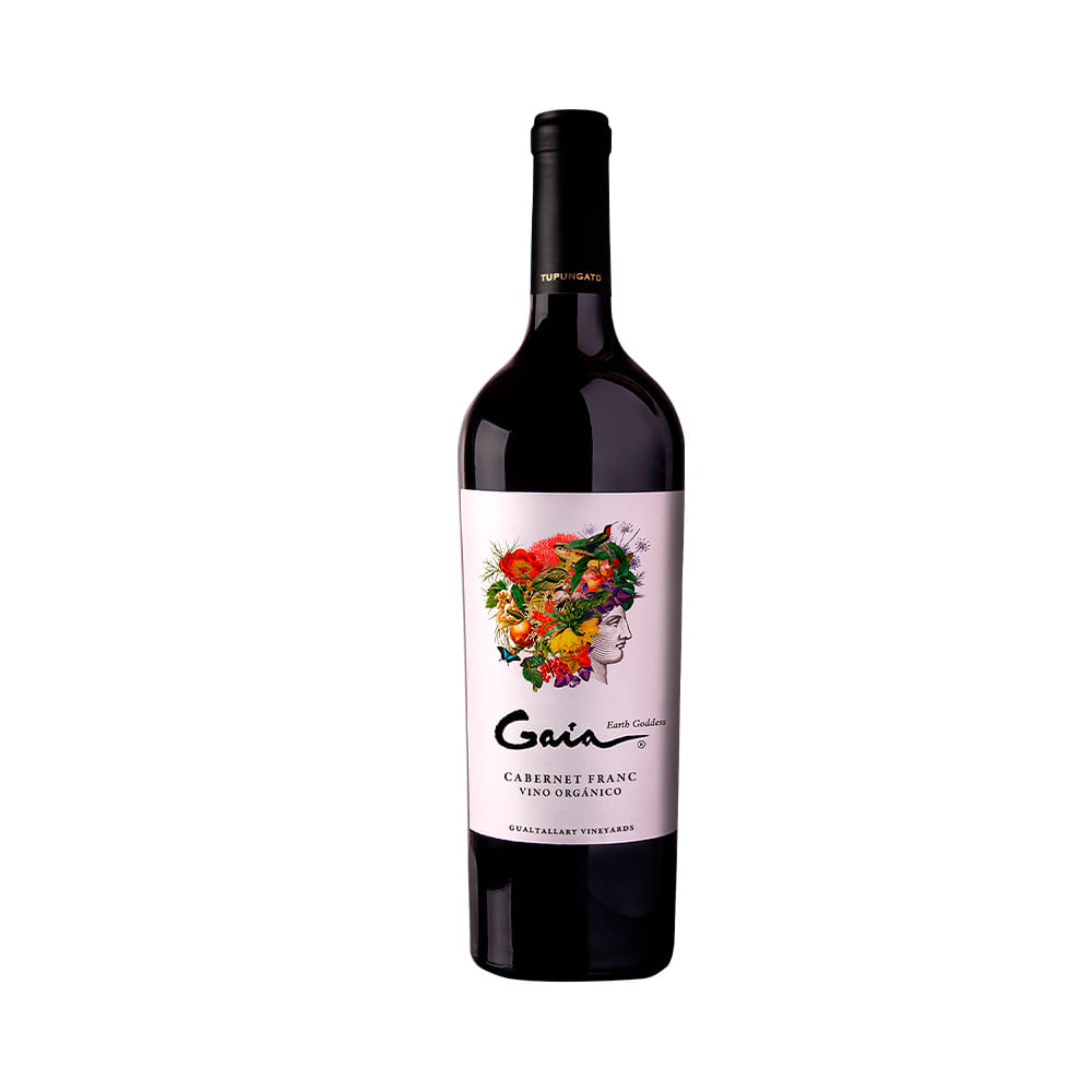 Vino Cabernet Franc X 750 Cc Gaia