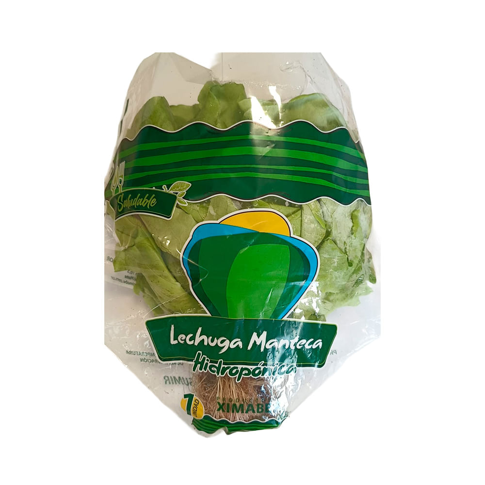 Lechuga Manteca Hidroponica X Unidad