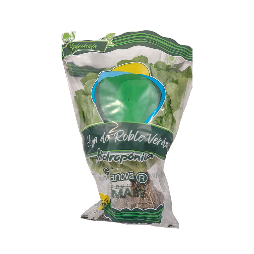 Lechuga Salanova Hoja de Roble Hidropónica X 200 Grs